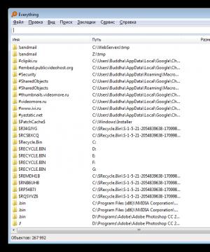 Program Everything - praktično pretraživanje datoteka za Windows Control iz 